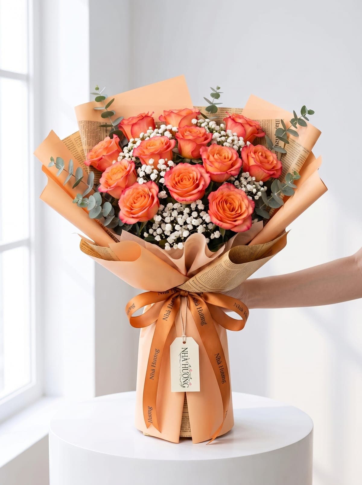 Ánh Dương Hồng — ảnh 2