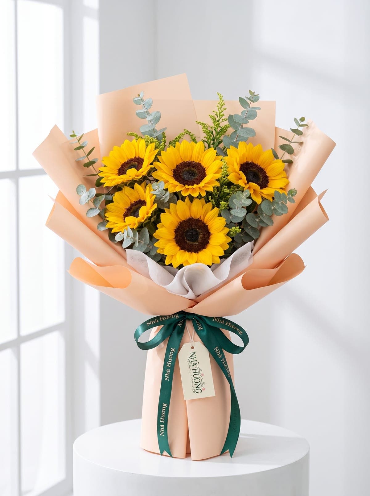Nắng Mai Rạng Rỡ
