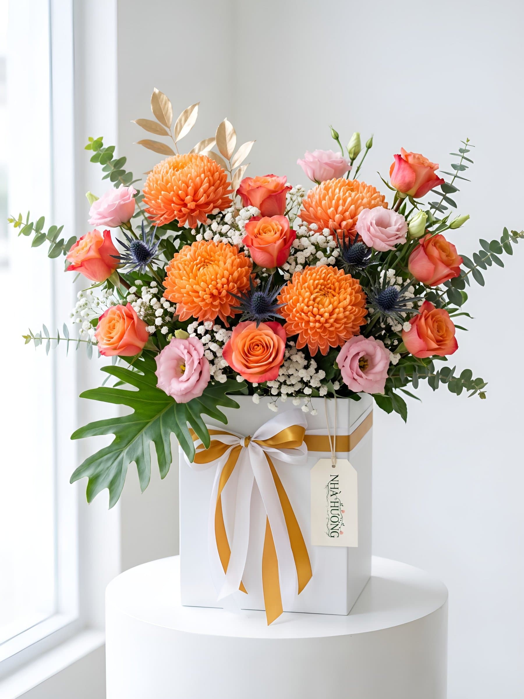 Nắng Hạ Rực Rỡ
