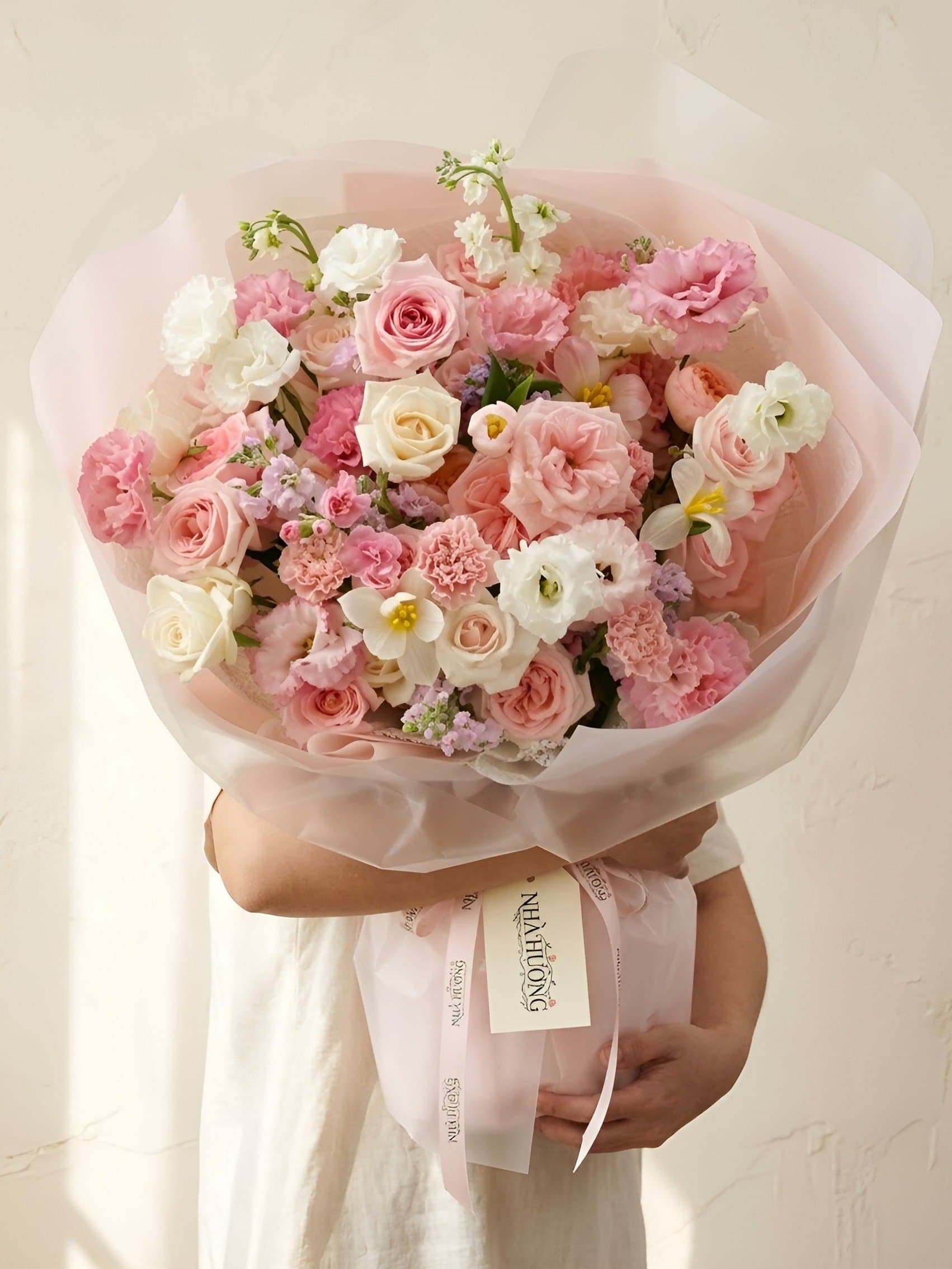 Họa Mây Hồng