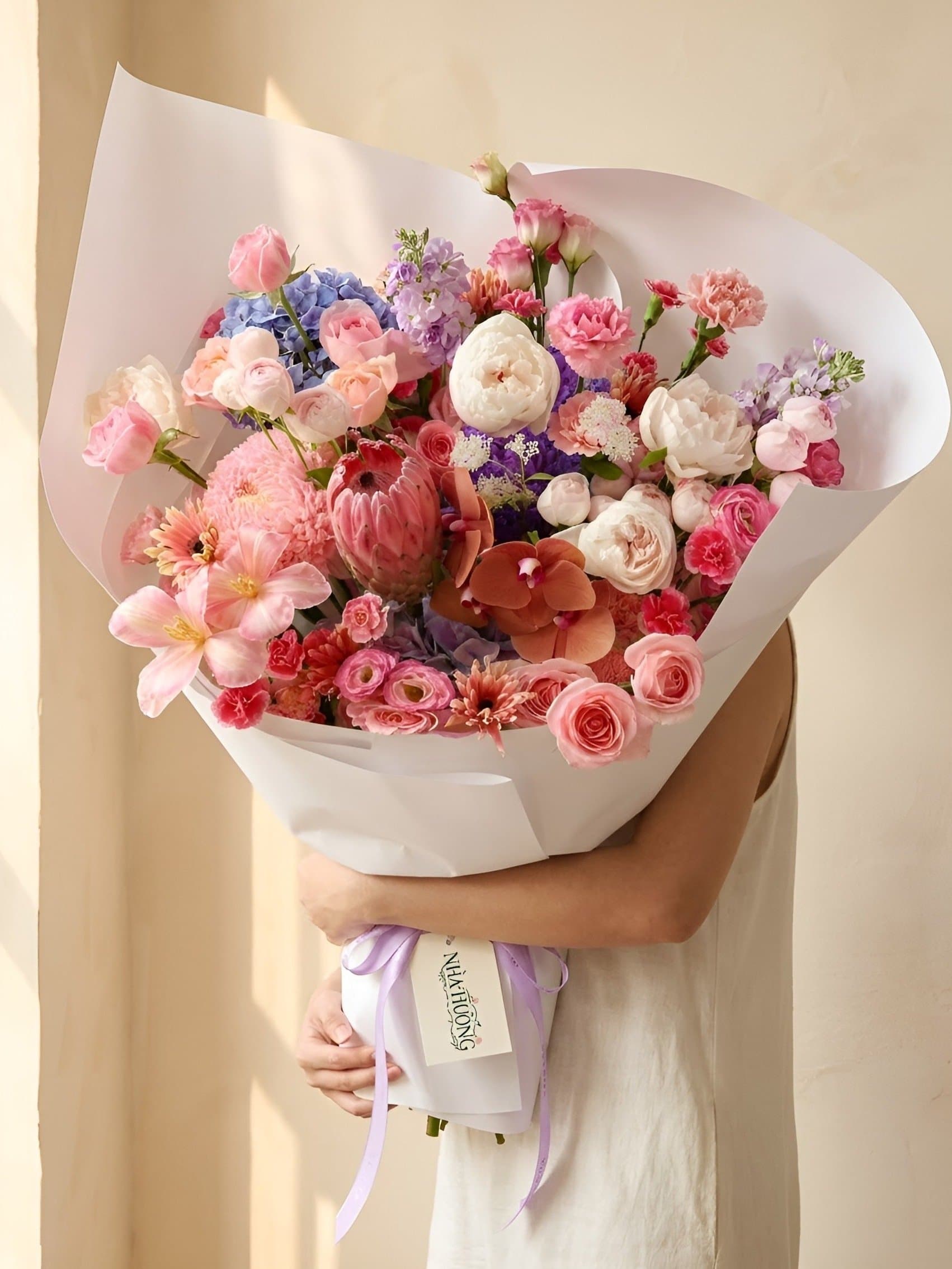 Họa Mi Sắc Màu