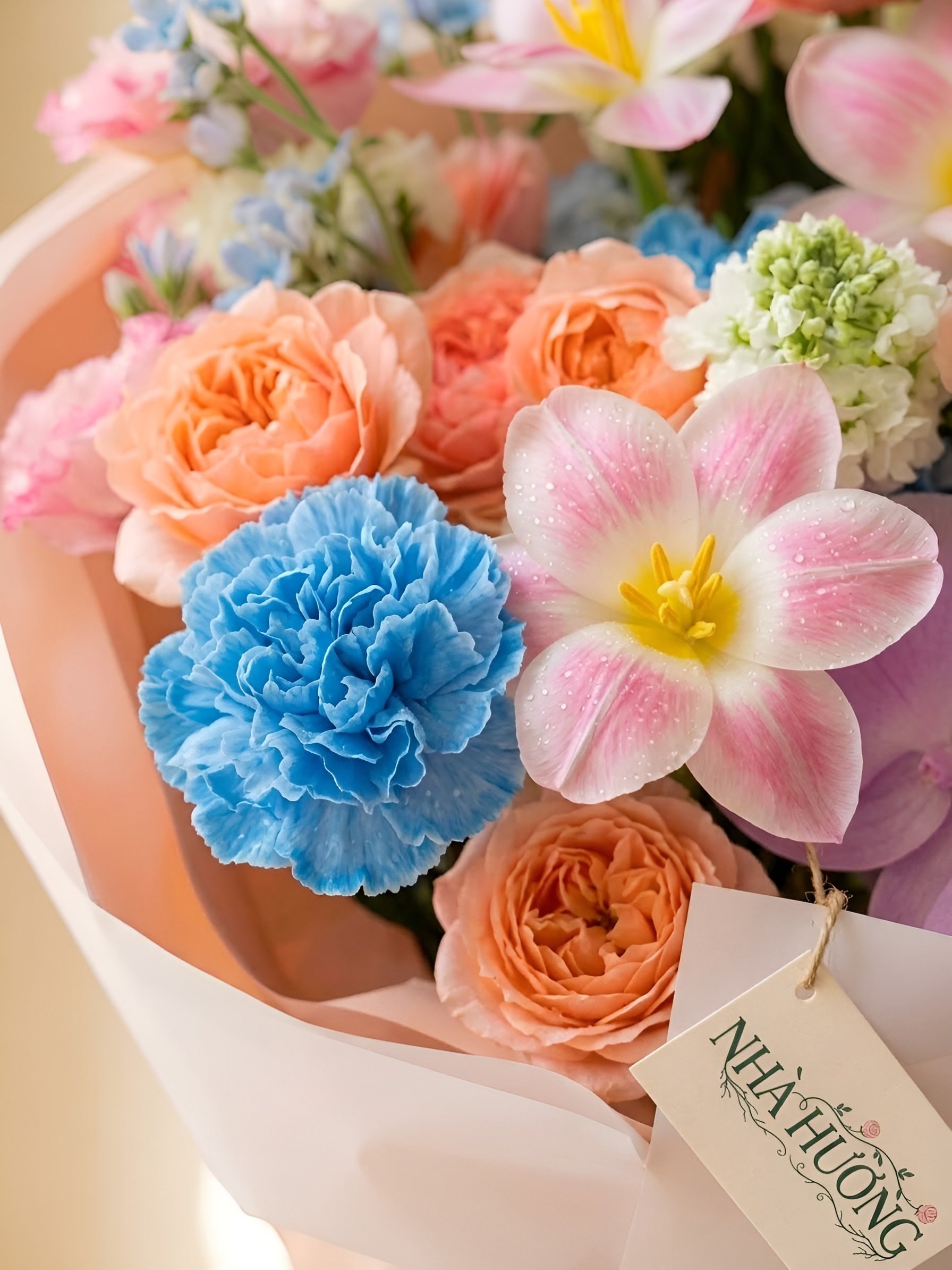 Bản Giao Hưởng Pastel — ảnh 3