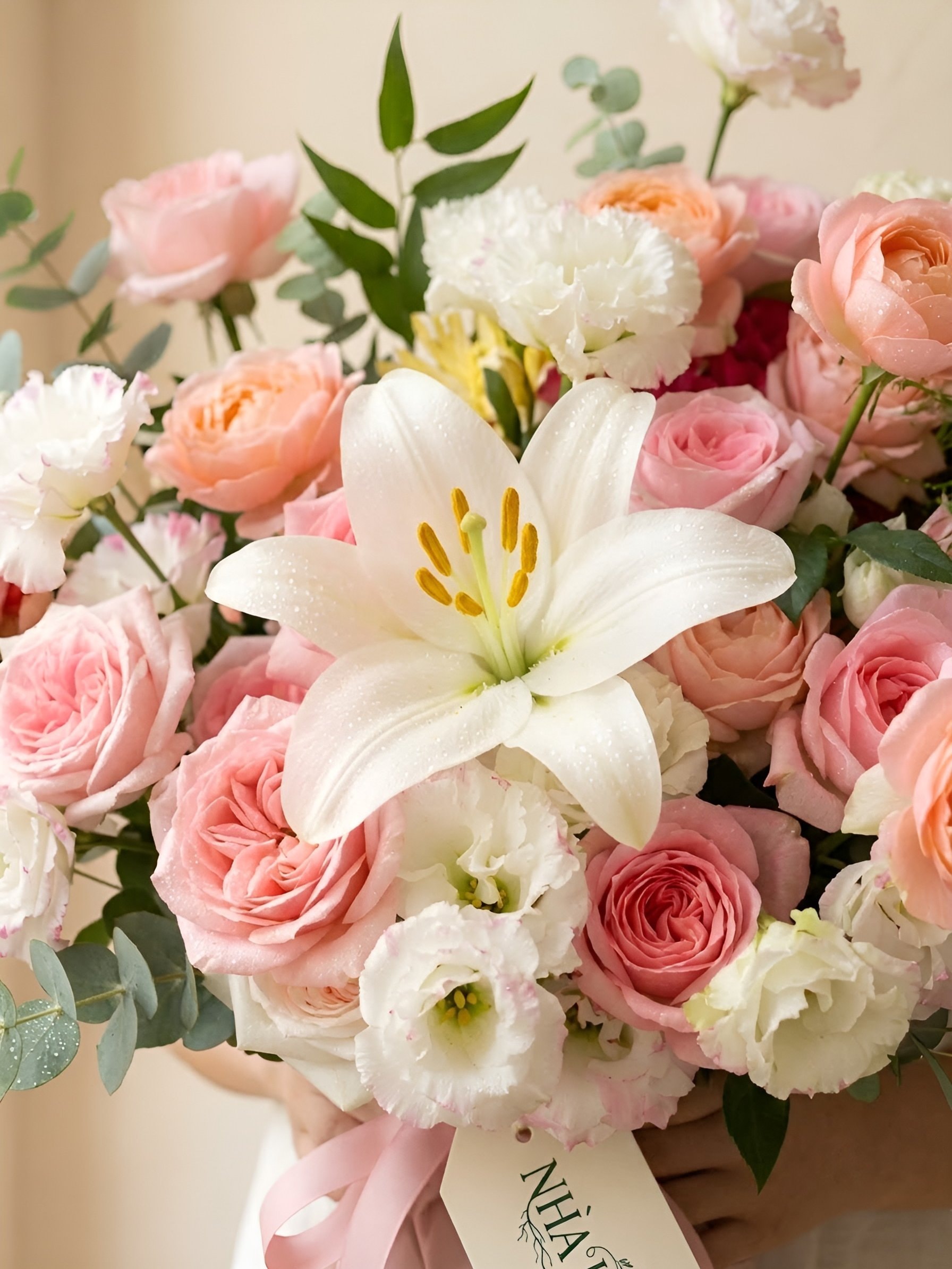 Đào Mộng Mơ — ảnh 2