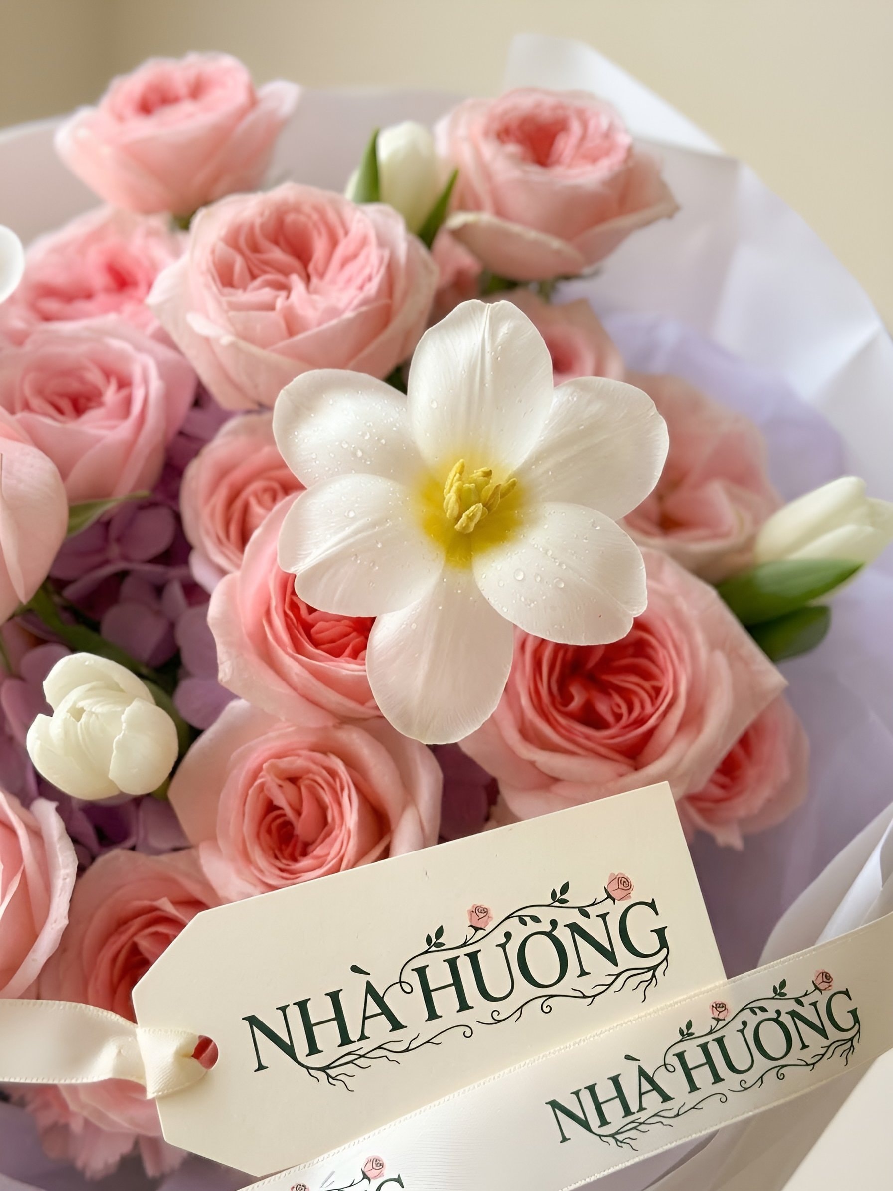 Sương Mộc Miên — ảnh 2