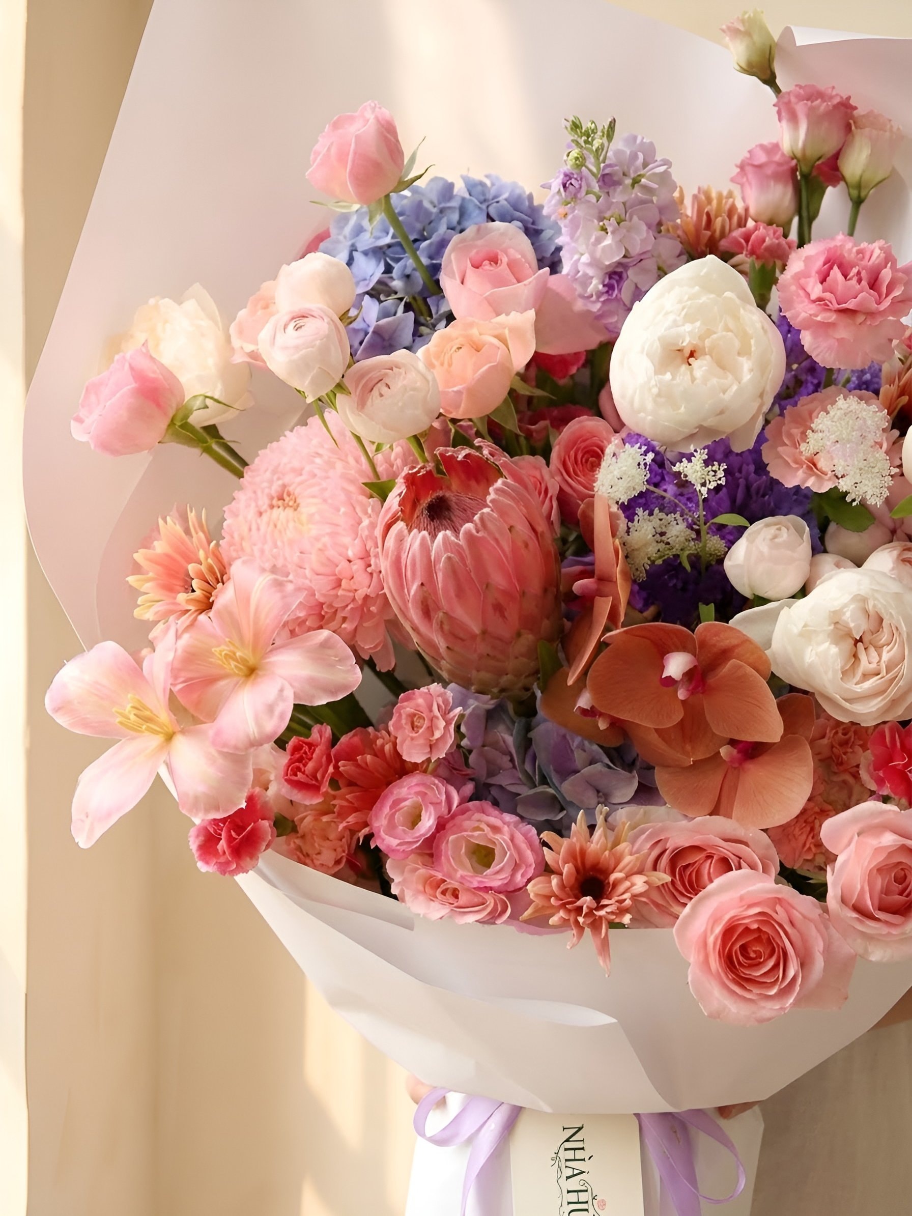 Họa Mi Sắc Màu — ảnh 2