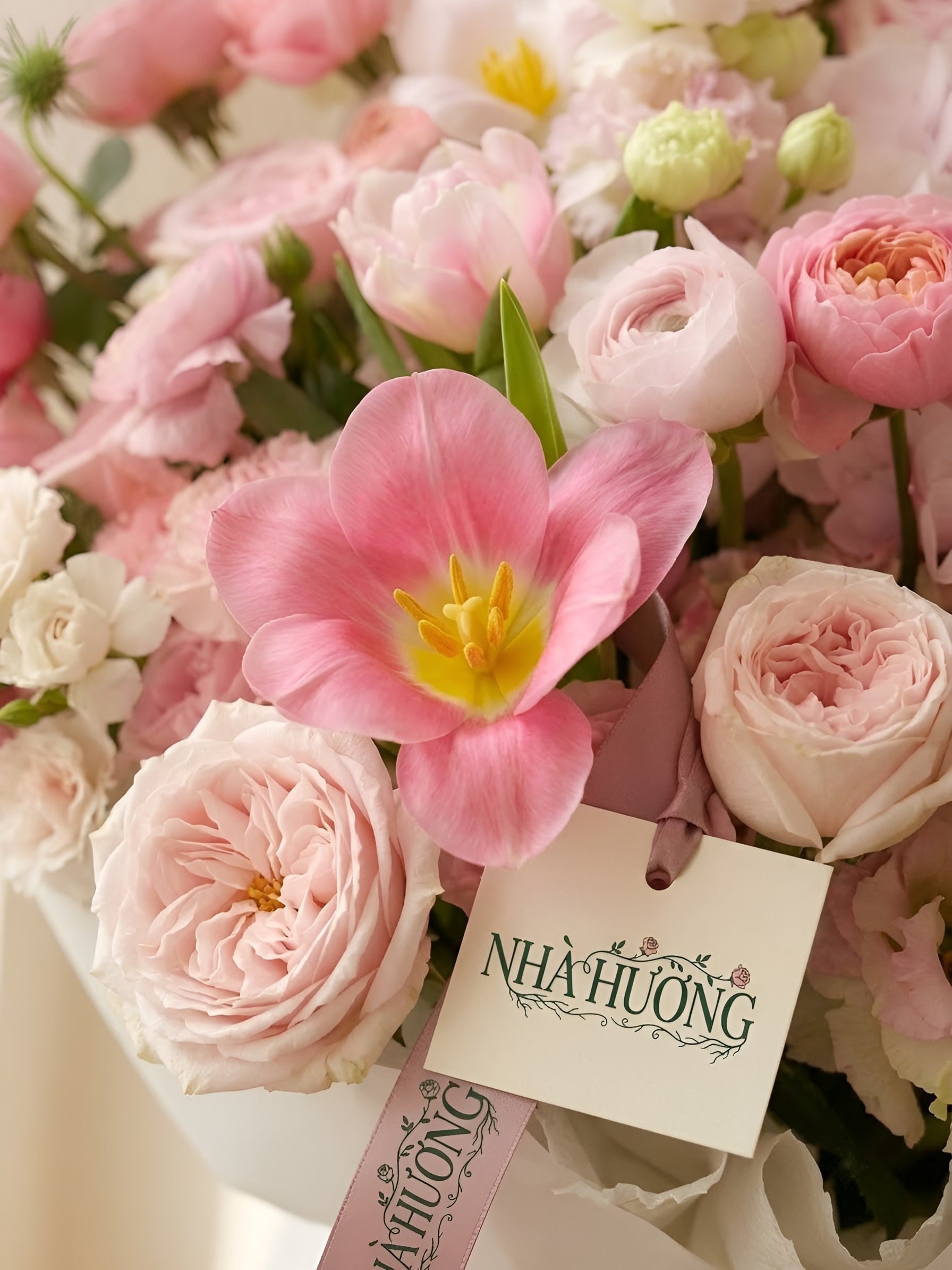 Hồng Phố Mộng — ảnh 2