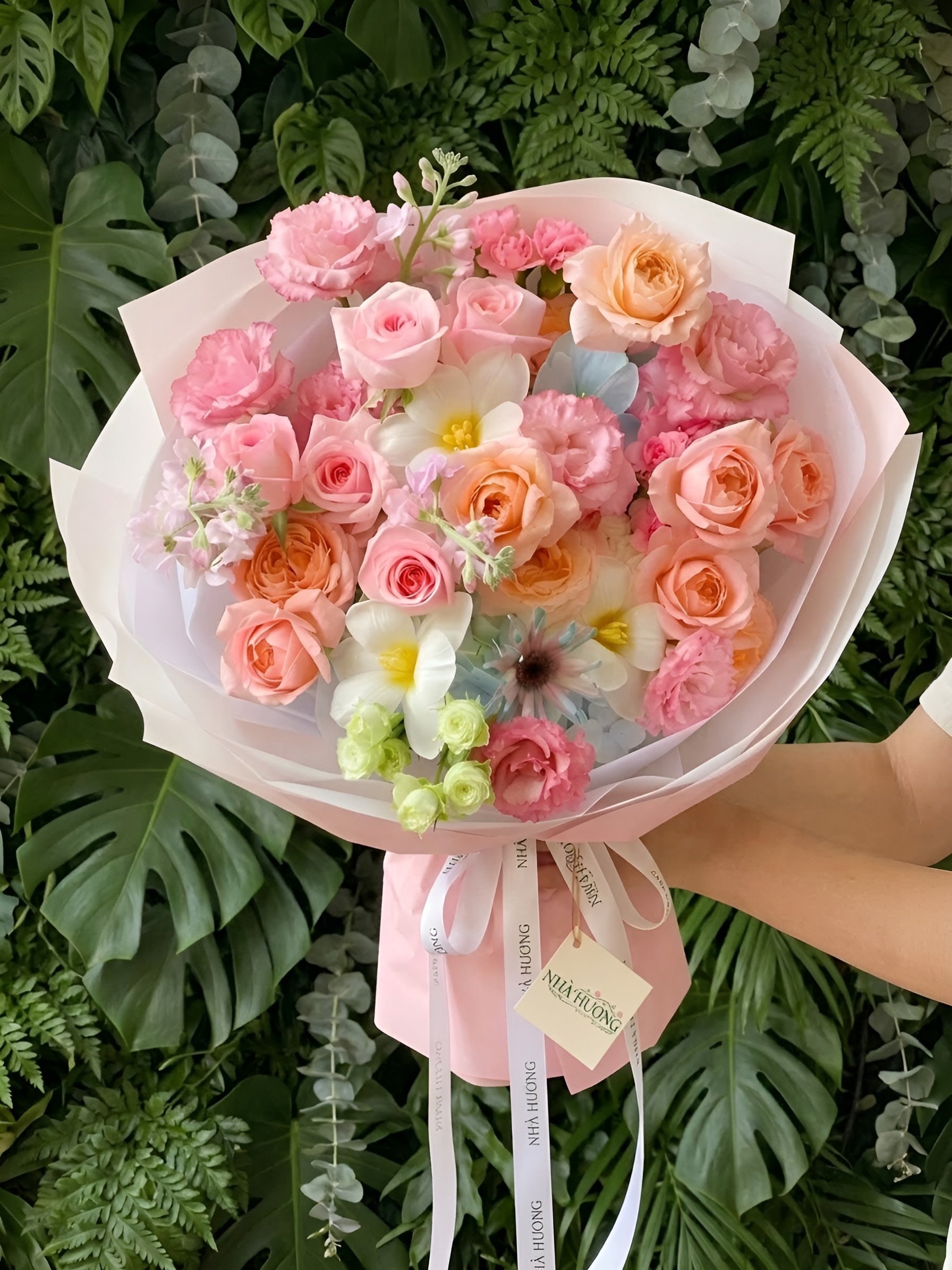 Hồng Xuyến Mơ — ảnh 3
