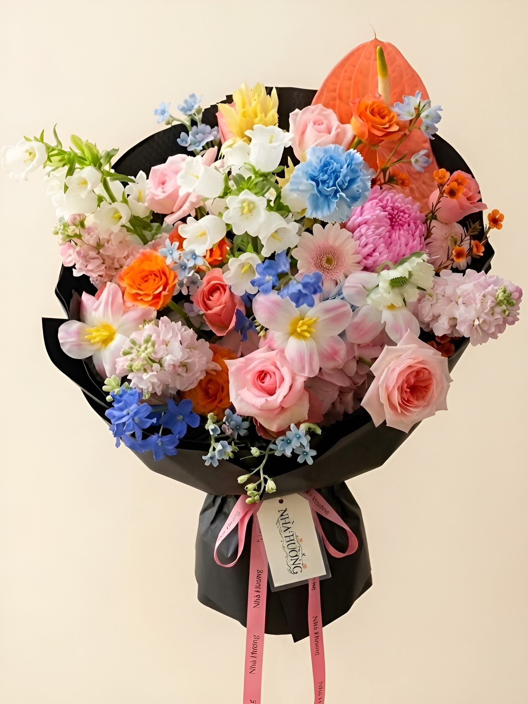 Vũ Điệu Pastel — ảnh 4