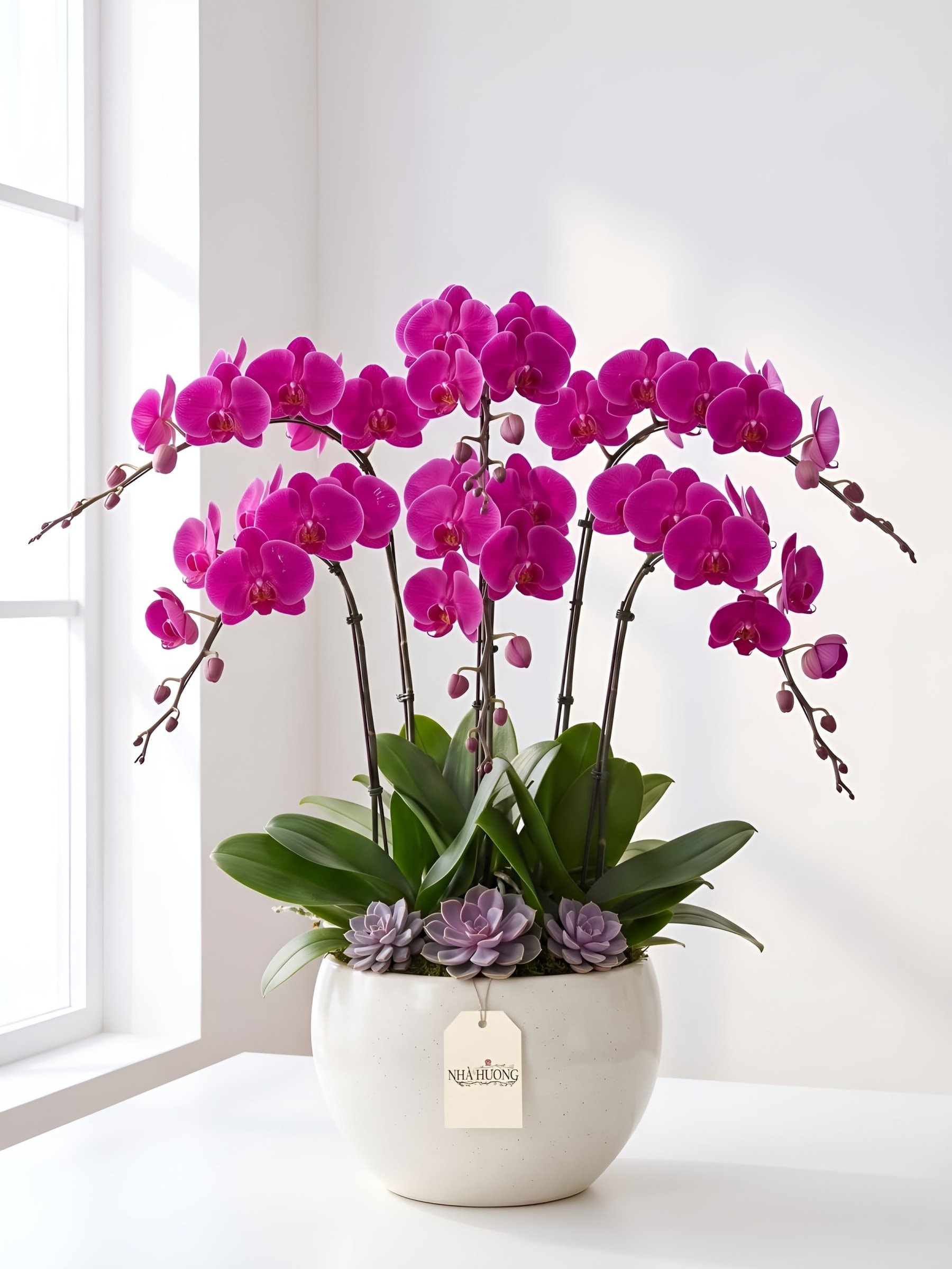 Majestic Purple Orchid — photo 2