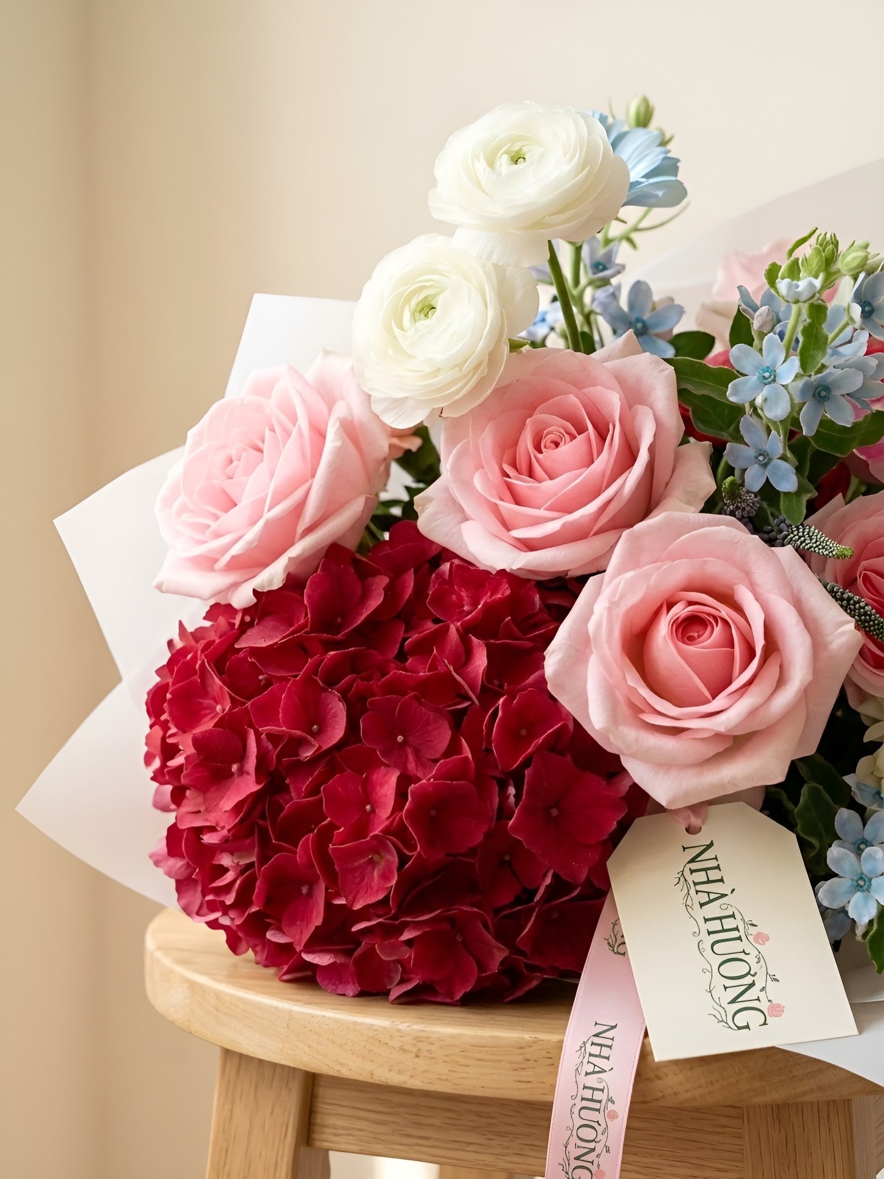 Vũ Khúc Sắc Màu — ảnh 3