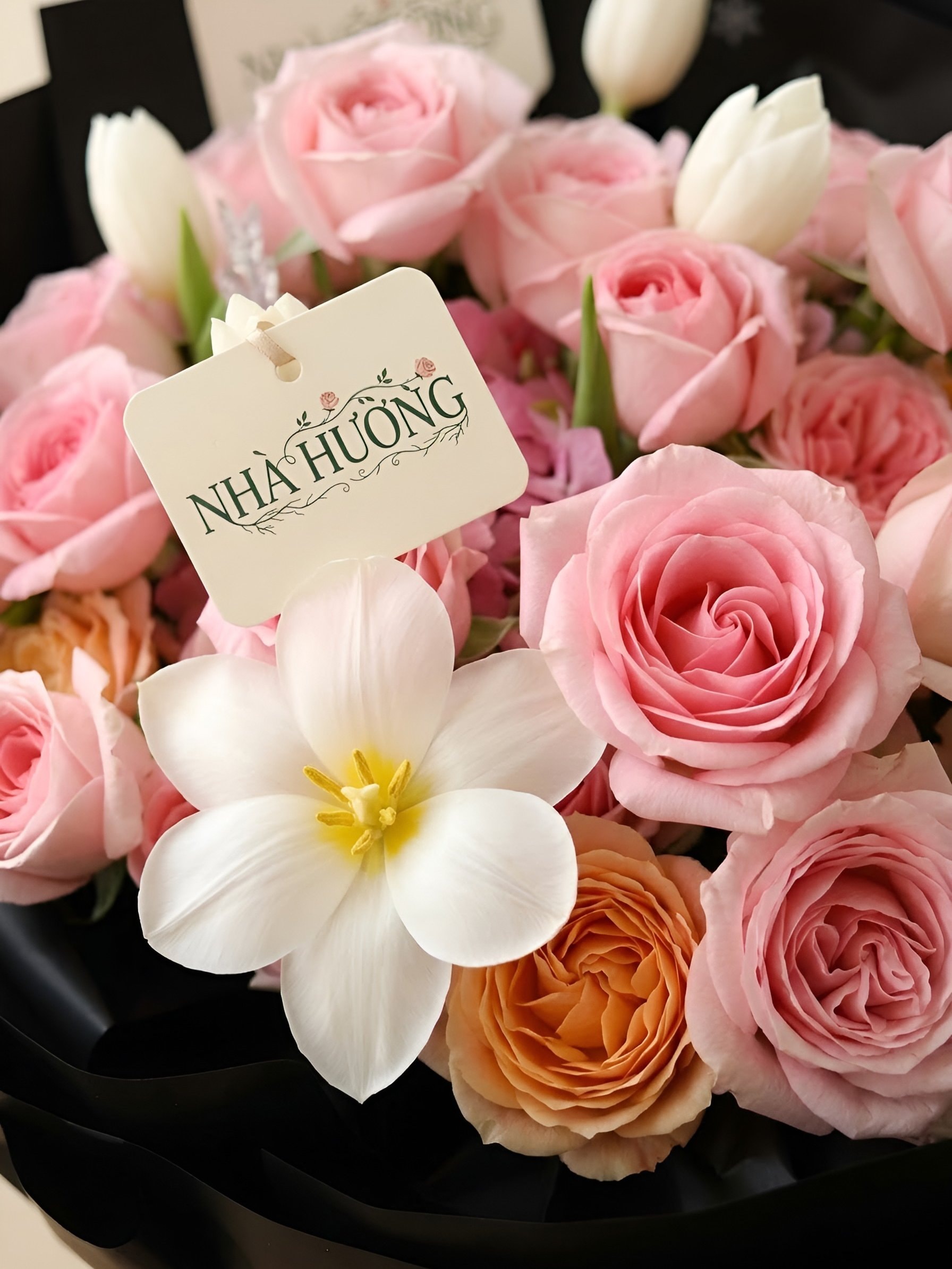 Dạ Hồng Yêu Kiều — ảnh 2