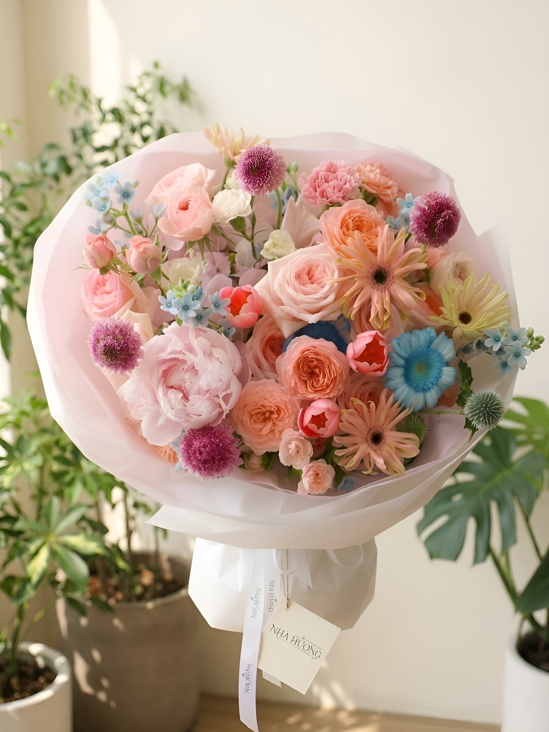 Mây Hồng Đào — ảnh 3