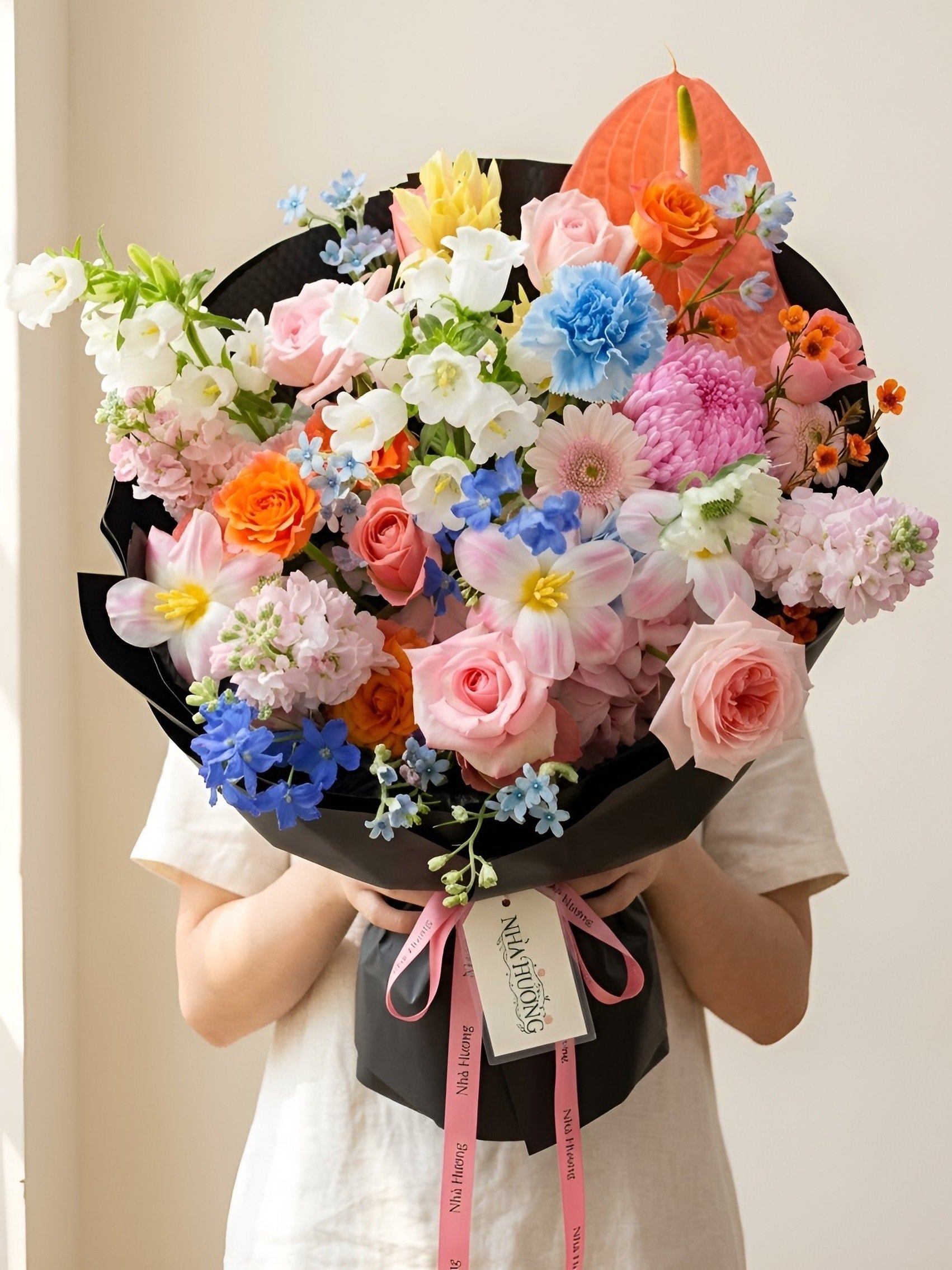 Vũ Điệu Pastel